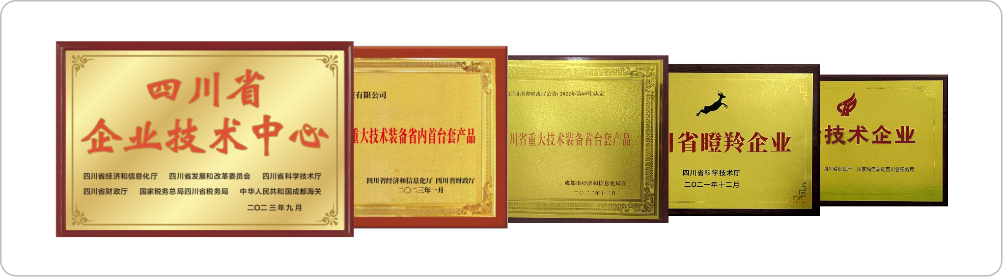 公司荣誉(图5)